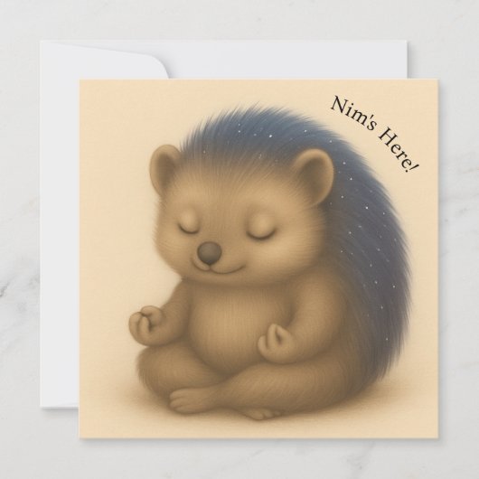 Nim vermittelt individuell anpassbare Comfort-Kart (Vorderseite)