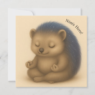 Nim vermittelt individuell anpassbare Comfort-Kart