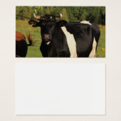 Nimm den Bull am Horn (Vorne & Hinten)