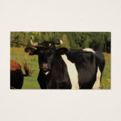 Nimm den Bull am Horn (Vorderseite)