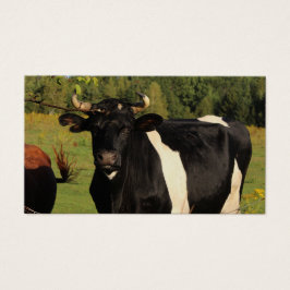 Nimm den Bull am Horn