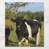 Nimm den Bull am Horn Weinetikett (Einzelnes Label)