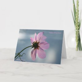 Nimm den Moment! Karte