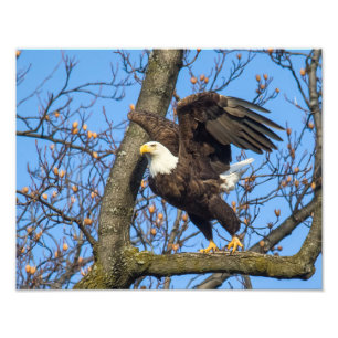 Nimm den Sprung! Fotodruck