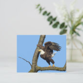 Nimm den Sprung! Postkarte (Stehend Vorderseite)