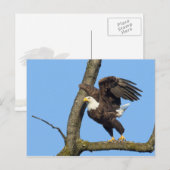 Nimm den Sprung! Postkarte (Vorne/Hinten)