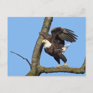 Nimm den Sprung! Postkarte