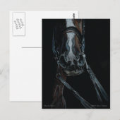 Nimm die Reine von Mary Gubisch Postkarte (Vorne/Hinten)