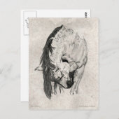 Nimm eine Bow von Mary Gubisch. Postkarte (Vorne/Hinten)