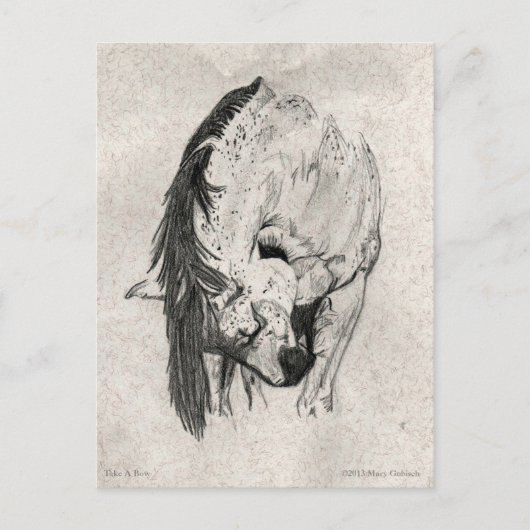 Nimm eine Bow von Mary Gubisch. Postkarte (Vorderseite)