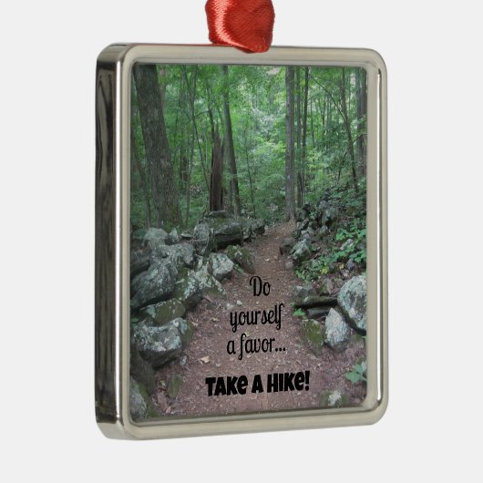 Nimm eine Wanderung! Silbernes Ornament (Rechts)