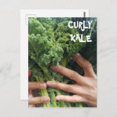 Nimm einen Haufen Curly Kale Postkarte (Vorne/Hinten)
