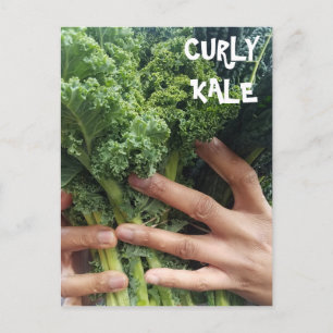 Nimm einen Haufen Curly Kale Postkarte