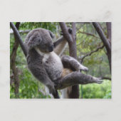 Nimm es leicht! postkarte (Vorderseite)