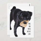 Nimm große Bisse aus dem Leben Postkarte (Vorne/Hinten)