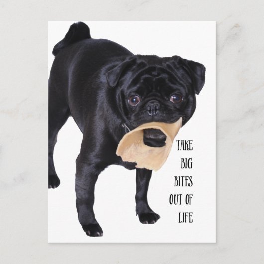Nimm große Bisse aus dem Leben Postkarte (Vorderseite)