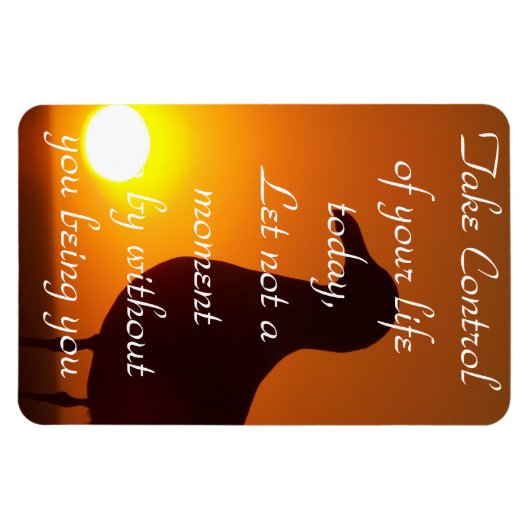 Nimm Kontrolle!_ Magnet (Horizontal)