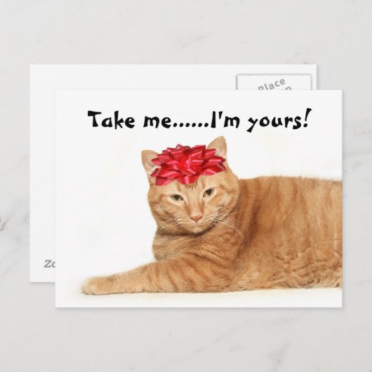 Nimm mich... Ich bin deins! Postkarte (Vorne/Hinten)