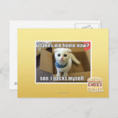 Nimm mich jetzt Zuhause? Postkarte (Vorne/Hinten)