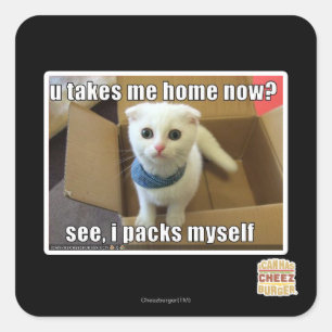Nimm mich jetzt Zuhause? Quadratischer Aufkleber
