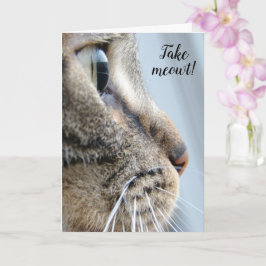 Nimm mich raus! Cat Kitten Valentinstag Karte