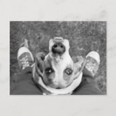 Nimrod mit Postkarte (Vorderseite)