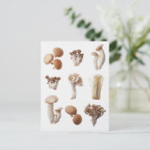 Nine Brown Mushrooms Postkarte (Stehend Vorderseite)