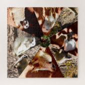 Nine Meerkat Dreiecke, Jigsaw Puzzle (Horizontal)