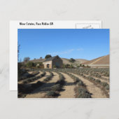 Niner Anwesen, Paso Robles, CA Event Center Postkarte (Vorne/Hinten)