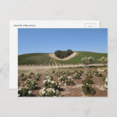 Niner Anwesens Herz und Weiße Rosen Postkarte (Vorne/Hinten)