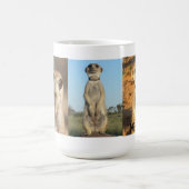 Ningaloo Meerkat Tasse (Mittel)