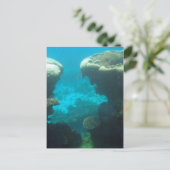 Ningaloo Reef Postkarte (Stehend Vorderseite)