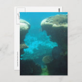 Ningaloo Reef Postkarte (Vorne/Hinten)