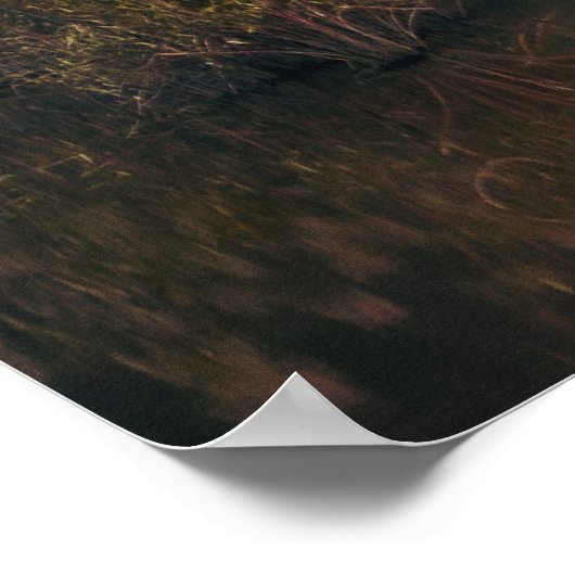 NINH BINH, RED RIVER DELTA, VIETNAM POSTER (Ecke)