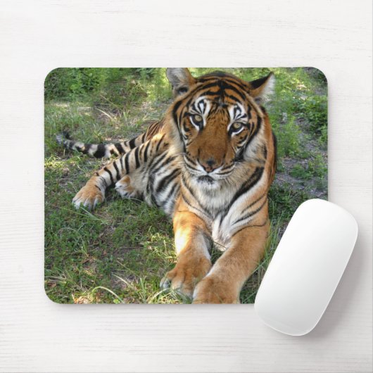 nini 005 mousepad (Mit Mouse)