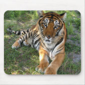 nini 005 mousepad (Vorne)