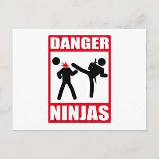 Ninja Academy Okinawa tötet Bill Postkarte