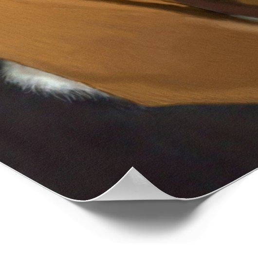 Ninja Basset Hound Dog Poster (Ecke)