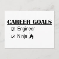 Ninja Career Goals - Ingenieur