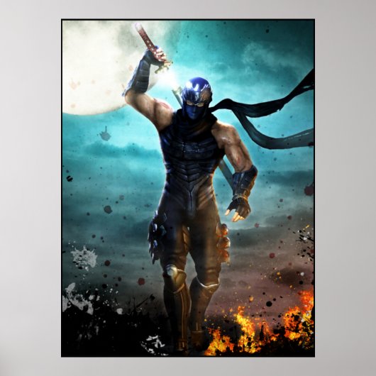 Ninja Gaiden Poster (Vorne)