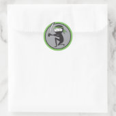 Ninja Green Belt Stickers (Tasche)