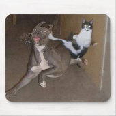 Ninja Katze Mousepad (Vorne)