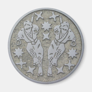 Ninja Manhole Magnet