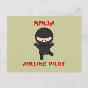 Ninja-Pilot Postkarte