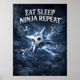 Ninja Schatten Eisangriff Poster