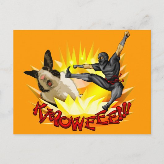 Ninja vs. Bunny Postcard(?!???) Postkarte (Vorderseite)