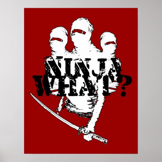 NINJA WAS? POSTER (Vorne)