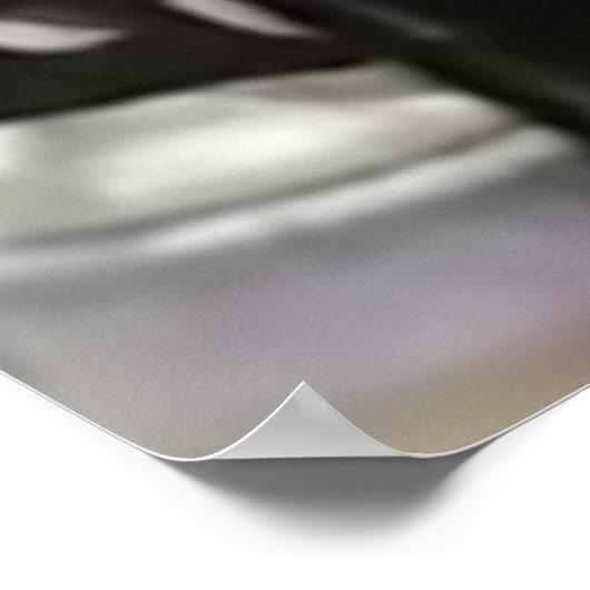 Ninjagobabe2001 Poster (Ecke)