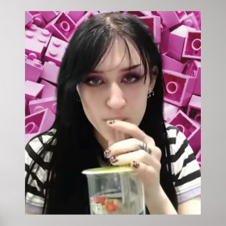 Ninjagobabe2001 Poster