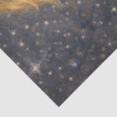 niño con zorro seidenpapier (Detail)